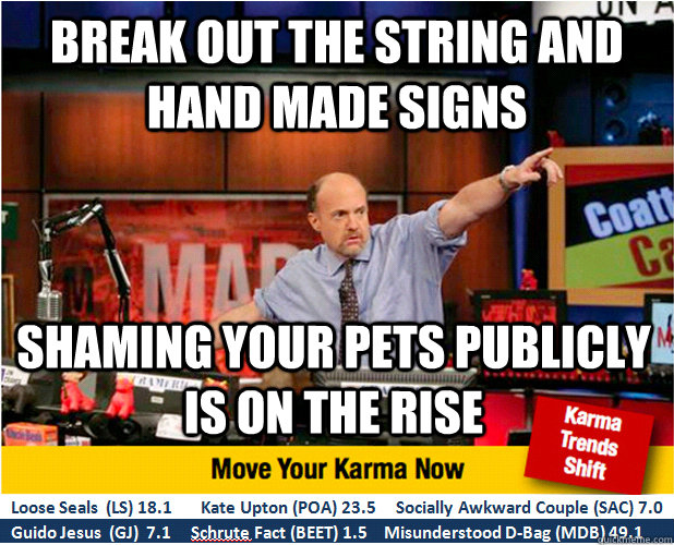 Break out the string and hand made signs Shaming your pets publicly is on the rise  Jim Kramer with updated ticker