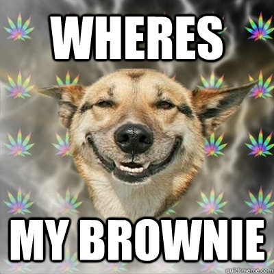 wheres my brownie  Stoner Dog