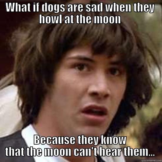 WHAT IF DOGS ARE SAD WHEN THEY HOWL AT THE MOON BECAUSE THEY KNOW THAT THE MOON CAN'T HEAR THEM... conspiracy keanu