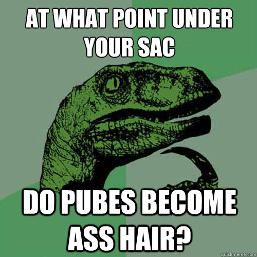 At what point under your sac  Do pubes become ass hair? - At what point under your sac  Do pubes become ass hair?  Philosoraptor