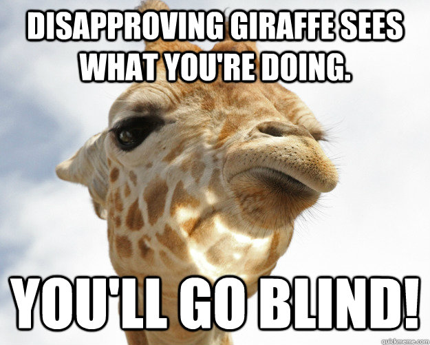Disapproving giraffe sees what you're doing. You'll go blind!   disapproving giraffe