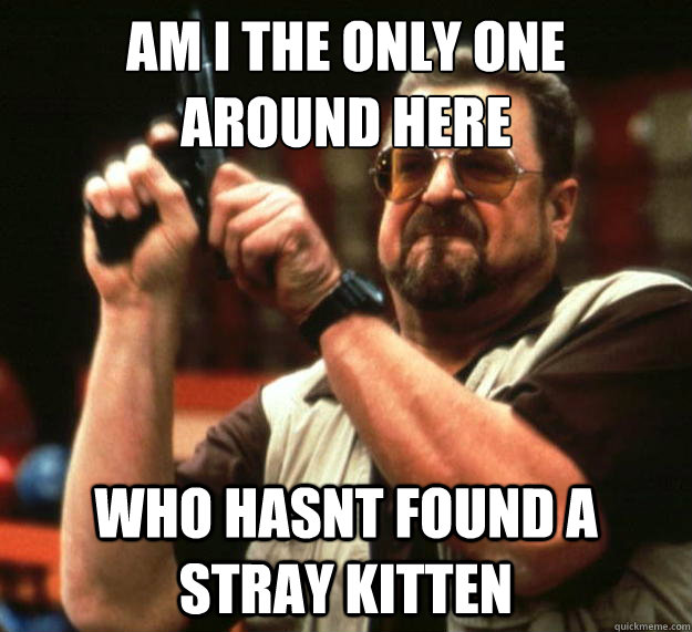 am I the only one 
around here who hasnt found a stray kitten - am I the only one 
around here who hasnt found a stray kitten  Angry Walter
