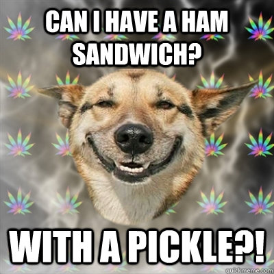 Can i have a ham sandwich? WITH A PICKLE?!  Stoner Dog