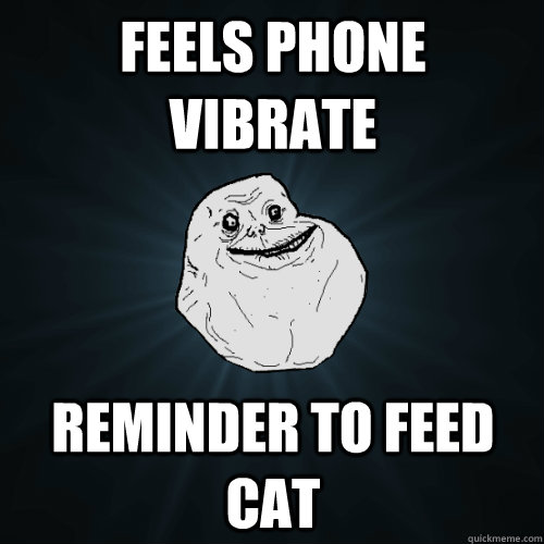 feels phone vibrate Reminder to feed cat  Forever Alone