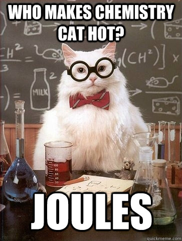 WHO MAKES CHEMISTRY CAT HOT? JOULES - WHO MAKES CHEMISTRY CAT HOT? JOULES  Chemistry Cat