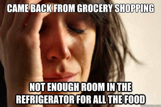 Came back from grocery shopping not enough room in the refrigerator for all the food  First World Problems