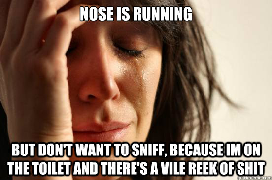 Nose is running But don't want to sniff, because im on the toilet and there's a vile reek of shit  First World Problems