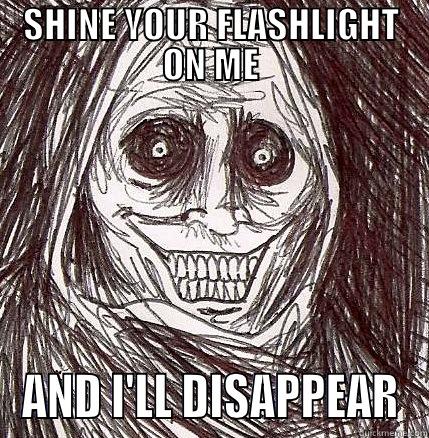 SHINE YOUR FLASHLIGHT ON ME AND I'LL DISAPPEAR Horrifying Houseguest