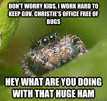 don't worry kids, i work hard to keep gov. christie's office free of bugs hey what are you doing with that huge ham  Misunderstood Spider