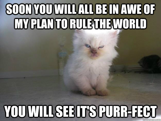 Soon you will all be in awe of my plan to rule the world you will see it's purr-fect  Evil Kitty