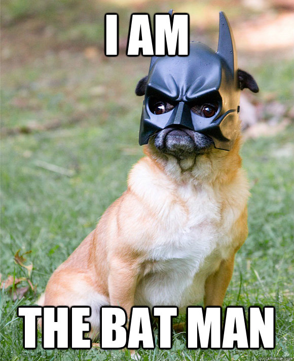 I AM THE BAT MAN - I AM THE BAT MAN  Batman