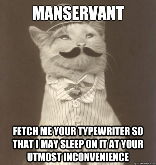 Manservant Fetch me your typewriter so that i may sleep on it at your utmost inconvenience  Original Business Cat