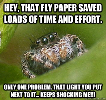 Hey, that fly paper saved  loads of time and effort. Only one problem. That light you put next to it... keeps shocking me!!!  Misunderstood Spider