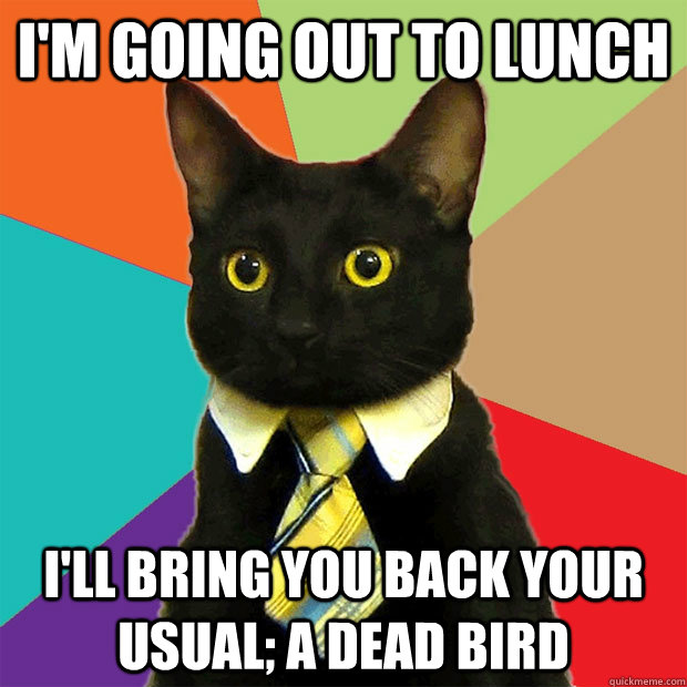 I'm going out to lunch I'll bring you back your usual; a dead bird  Business Cat