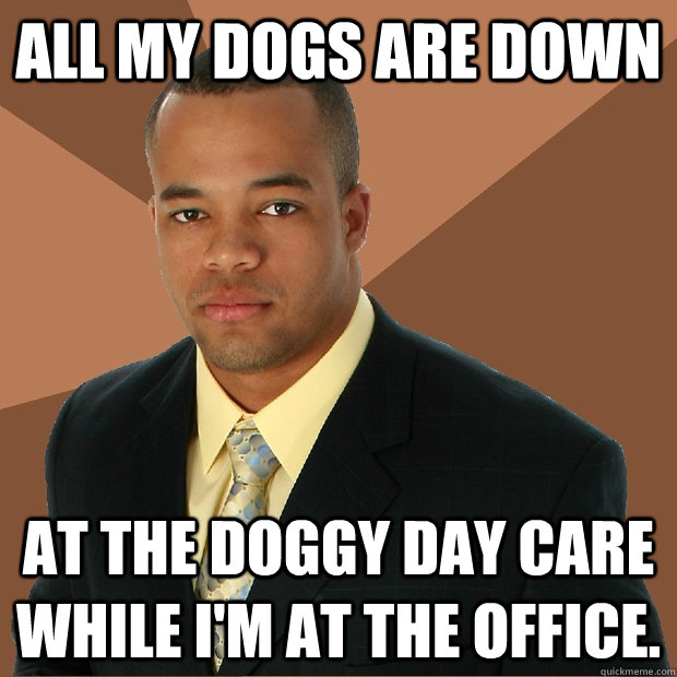 All my dogs are down at the doggy day care while I'm at the office.  Successful Black Man