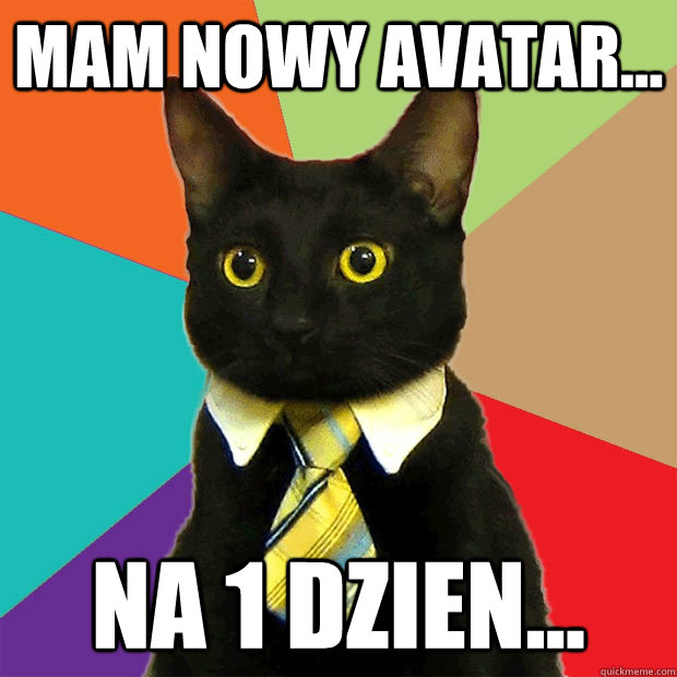 MAM NOWY AVATAR... NA 1 DZIEN...  Business Cat