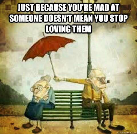Just because you're mad at someone doesn't mean you stop loving them   This is true.