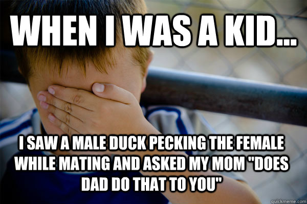 WHEN I WAS A KID... I saw a male duck pecking the female while mating and asked my mom 