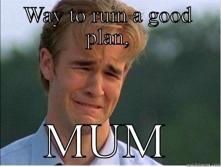 Selfish birthday - WAY TO RUIN A GOOD PLAN, MUM 1990s Problems