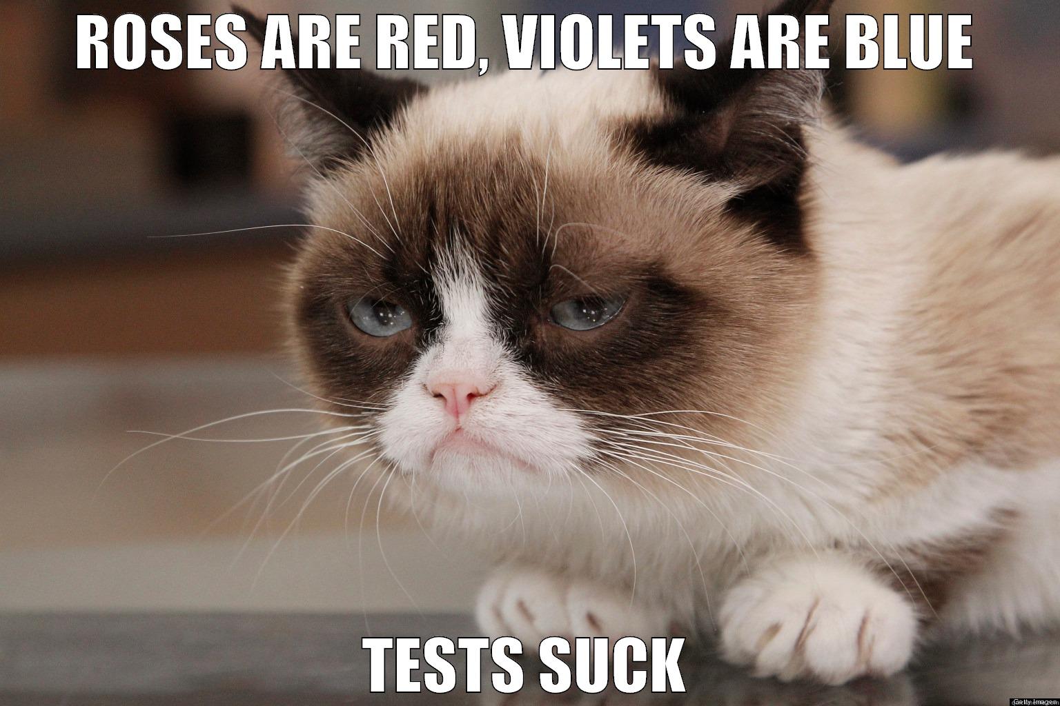 ROSES ARE RED, VIOLETS ARE BLUE TESTS SUCK Misc