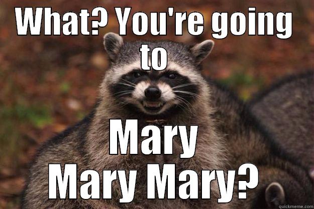 Marry merry Mary - WHAT? YOU'RE GOING TO MARY MARY MARY? Evil Plotting Raccoon