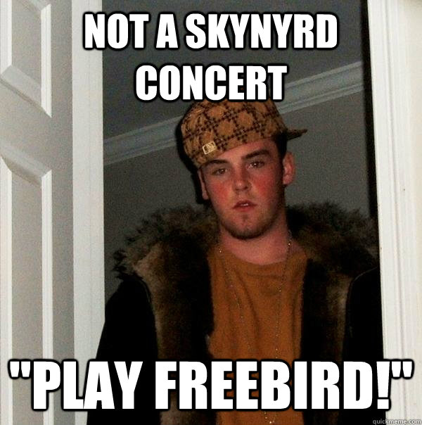 not a skynyrd concert 