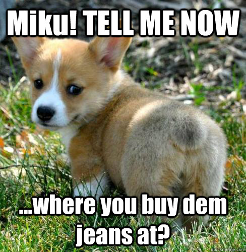 Miku! TELL ME NOW ...where you buy dem jeans at?  sassy corgi