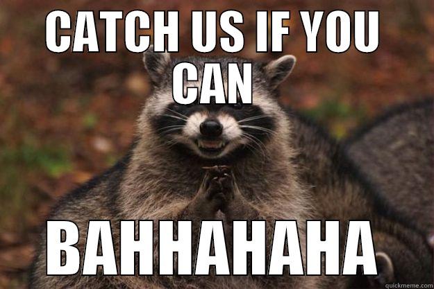 CATCH US IF YOU CAN - CATCH US IF YOU CAN BAHHAHAHA Evil Plotting Raccoon