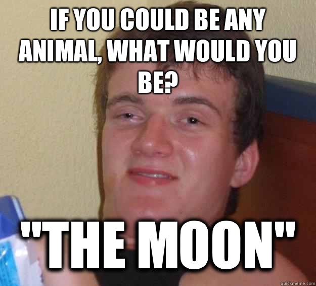 If you could be any animal, what would you be? 