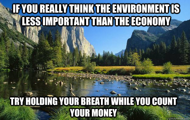 If you really think the environment is less important than the economy