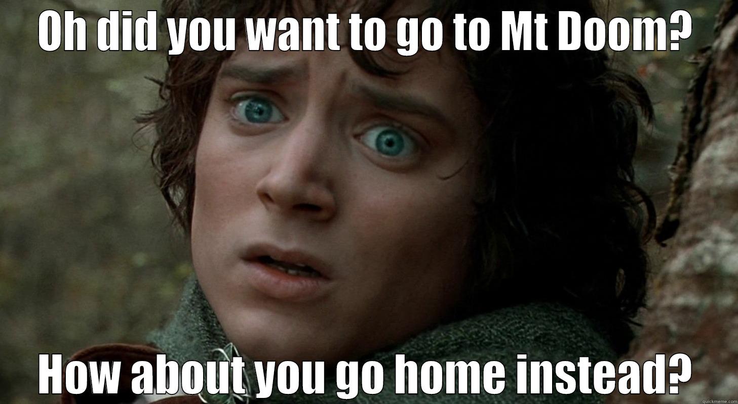 OH DID YOU WANT TO GO TO MT DOOM? HOW ABOUT YOU GO HOME INSTEAD? Misc