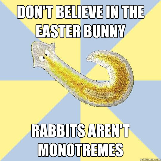 don't believe in the Easter bunny Rabbits aren't monotremes  Bio Major Planarian