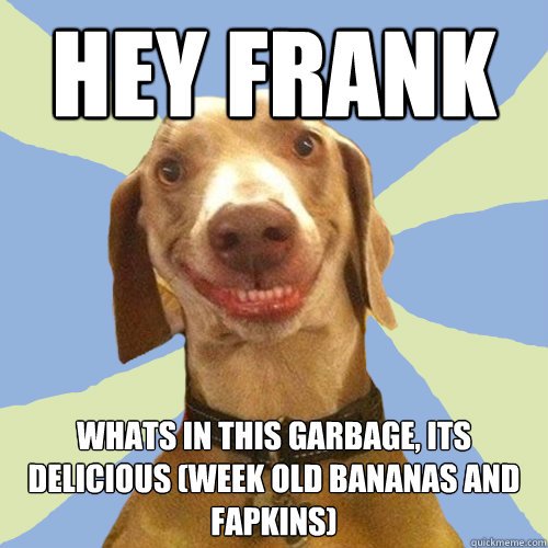 hey Frank whats in this garbage, its delicious (week old bananas and Fapkins)  Disgusting Doggy