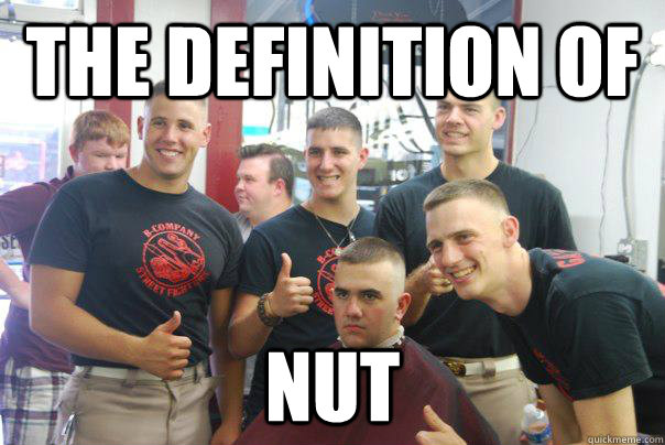 The Definition of nut  