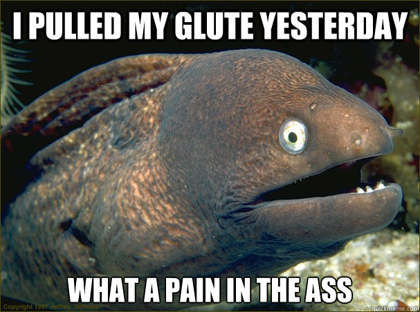 I Pulled My Glute Yesterday What A Pain In The Ass  Bad Joke Eel