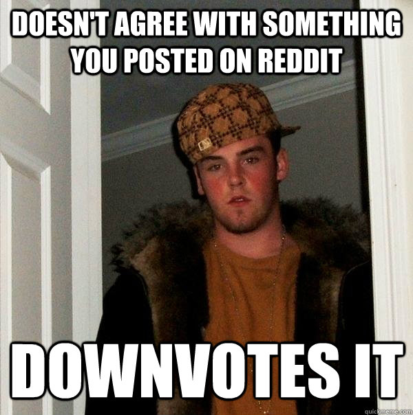 doesn't agree with something you posted on Reddit Downvotes it  Scumbag Steve