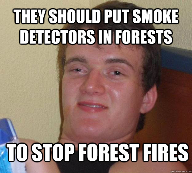 They should put smoke detectors in forests  to stop forest fires  10 Guy
