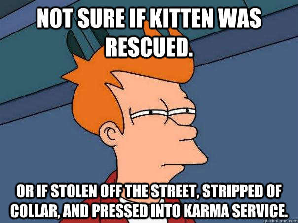 Not sure if kitten was rescued. Or if stolen off the street, stripped of collar, and pressed into karma service.  Futurama Fry