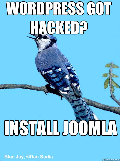 wordpress got hacked? install joomla  Blue Team Bird