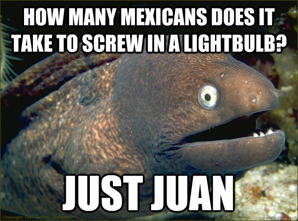 How many Mexicans does it take to screw in a lightbulb? Just Juan  Bad Joke Eel