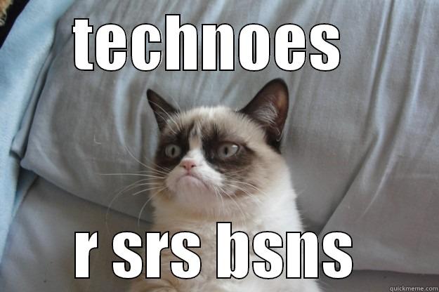 TECHNOES  R SRS BSNS Grumpy Cat