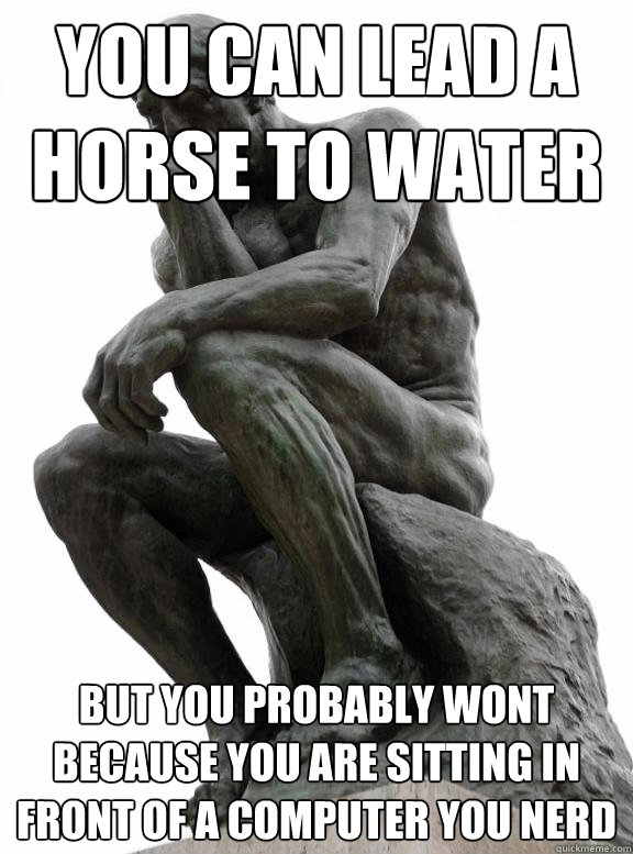 You can lead a horse to water but you probably wont because you are sitting in front of a computer you nerd - You can lead a horse to water but you probably wont because you are sitting in front of a computer you nerd  Unresolved Idioms