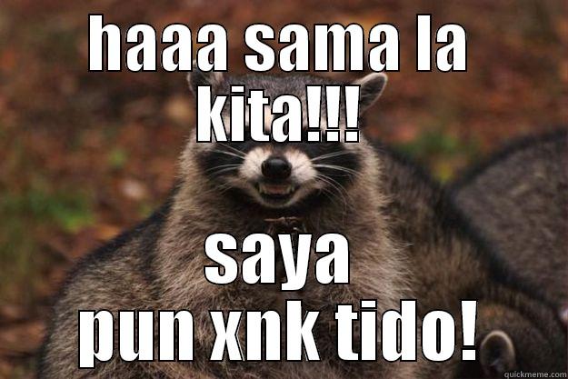 HAAA SAMA LA KITA!!! SAYA PUN XNK TIDO! Evil Plotting Raccoon