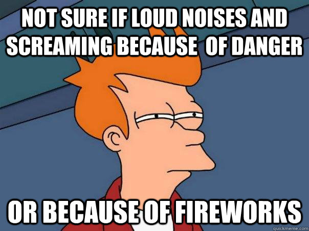 Not sure if loud noises and screaming because  of danger Or because of fireworks - Not sure if loud noises and screaming because  of danger Or because of fireworks  Futurama Fry