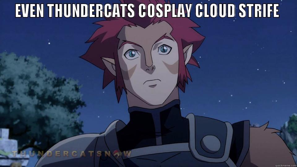 THUNDERCAT FF - EVEN THUNDERCATS COSPLAY CLOUD STRIFE  Misc