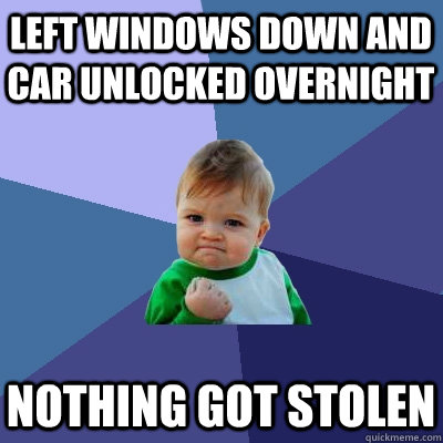 left windows down and car unlocked overnight  nothing got stolen  Success Kid