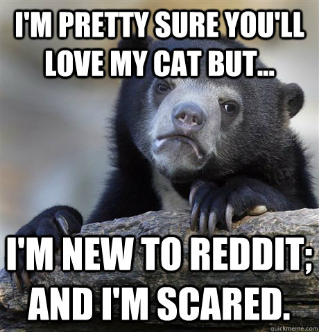 I'm pretty sure You'll love my cat but... I'm new to reddit; and I'm scared.  Confession Bear