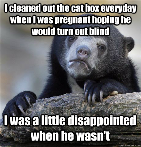 I cleaned out the cat box everyday when I was pregnant hoping he would turn out blind I was a little disappointed when he wasn't  Confession Bear