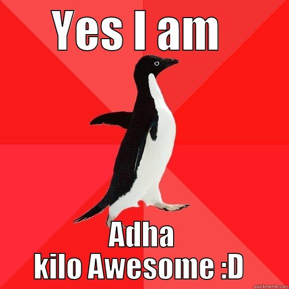 YES I AM  ADHA KILO AWESOME :D  Socially Awesome Penguin