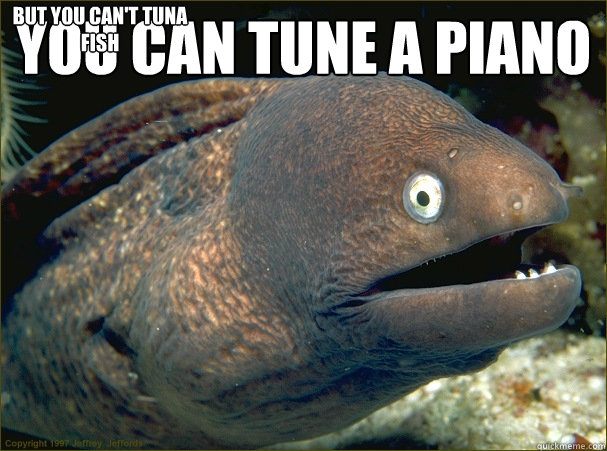 You Can Tune a Piano
 but You Can't Tuna Fish  Bad Joke Eel